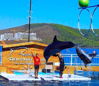 Bodrum Dolphin Park