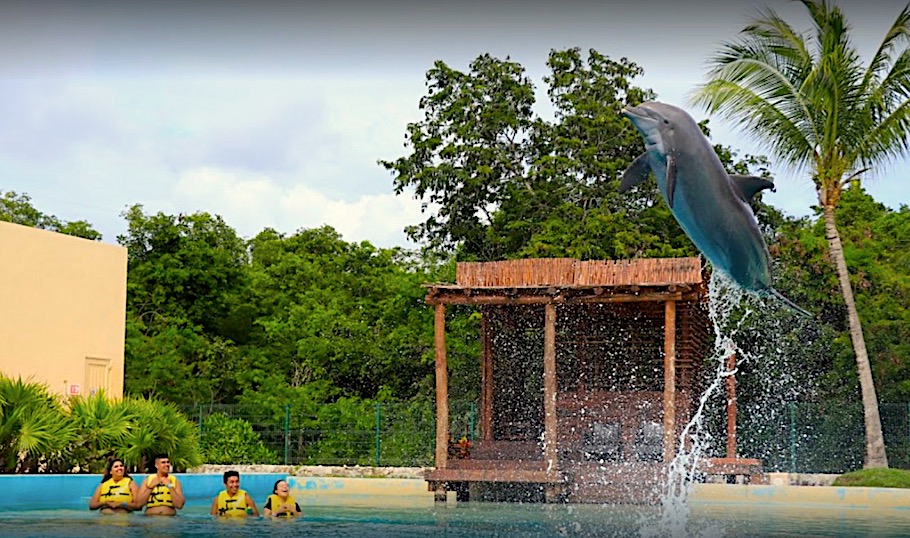 dolphinaris-riviera-maya-park