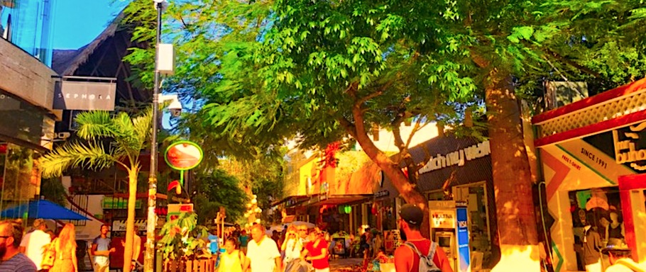 Quinta Avenida